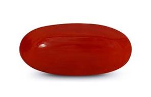 Red Coral (Moonga)